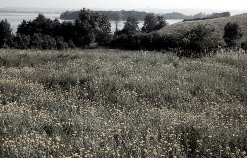 Killikus&reg; Fotographie