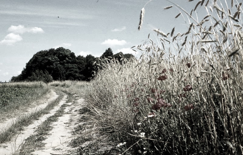 Killikus&reg; Fotographie