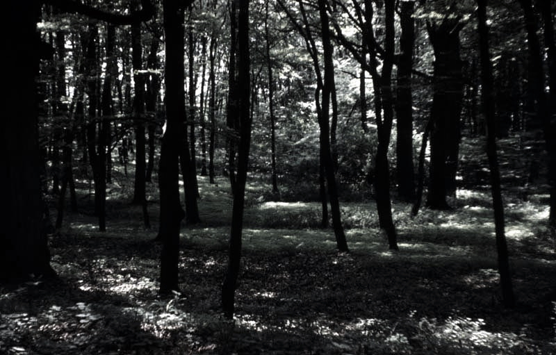 Killikus&reg; Fotographie