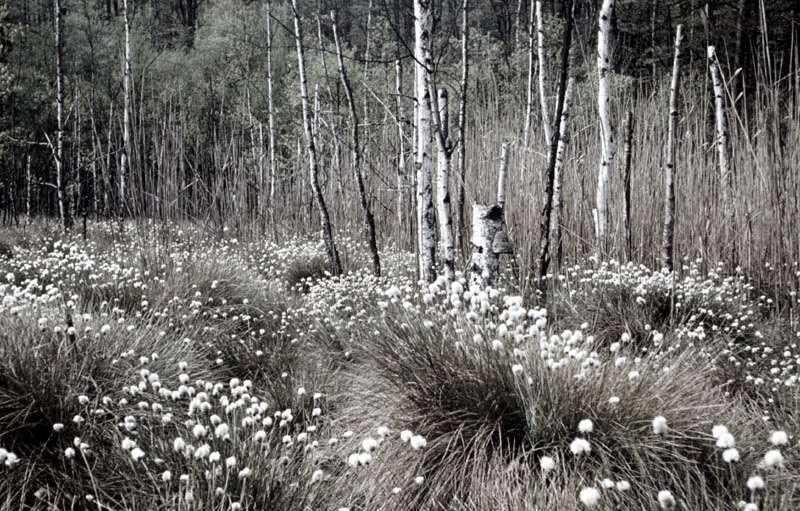 Killikus&reg; Fotographie