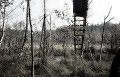 Killikus® Fotographie