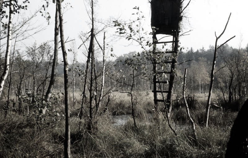 Killikus&reg; Fotographie