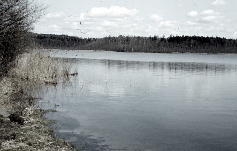 Killikus&reg; Fotographie