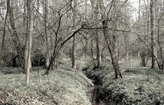 Killikus® Fotographie