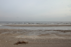 Killikus® Fotographie