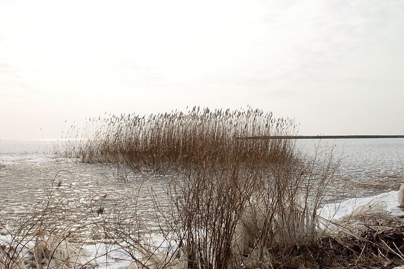 Killikus&reg; Fotographie