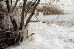 Killikus® Fotographie