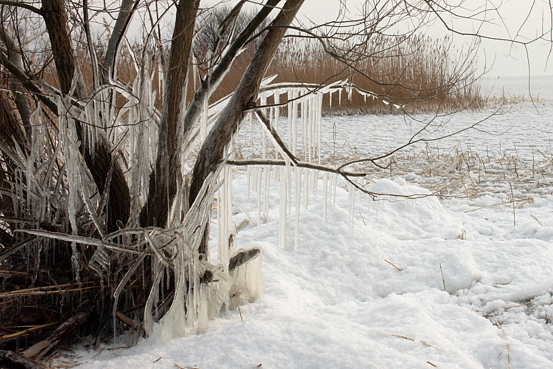 Killikus&reg; Fotographie