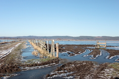 Killikus® Fotographie