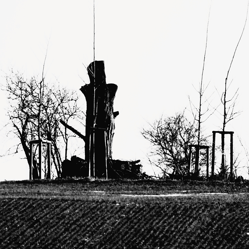 Killikus&reg; Fotographie