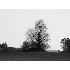 Killikus&reg; Fotographie