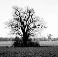 Killikus&reg; Fotographie