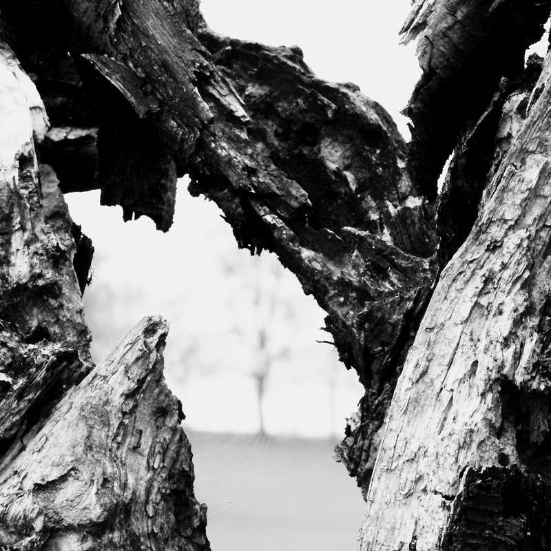 Killikus&reg; Fotographie