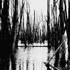 Killikus&reg; Fotographie