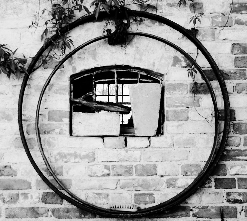 Killikus&reg; Fotographie