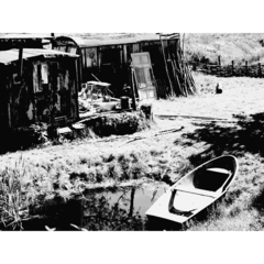 Killikus&reg; Fotographie