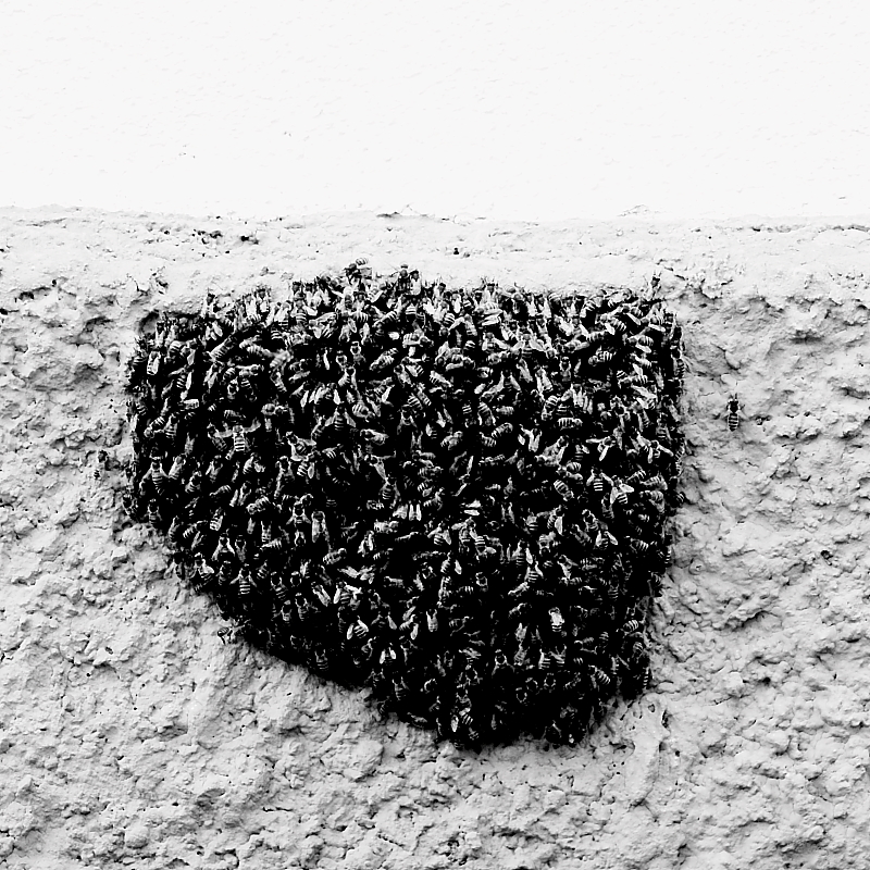 Killikus&reg; Fotographie