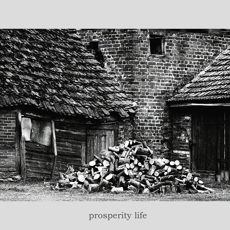 Killikus® Fotographie Killikus® Fotographie