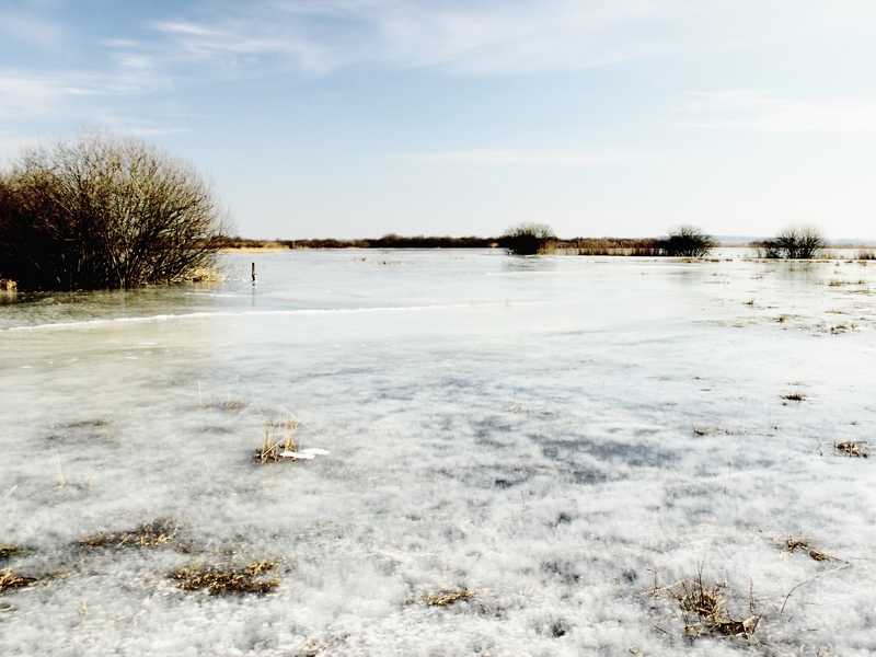 Killikus&reg; Fotographie