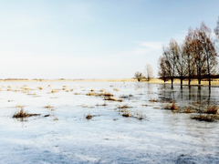 Killikus&reg; Fotographie