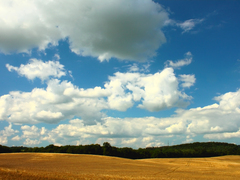 Killikus&reg; Fotographie