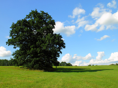 Killikus&reg; Fotographie