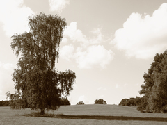 Killikus&reg; Fotographie