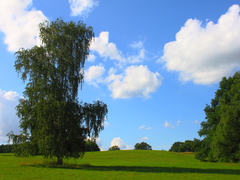 Killikus&reg; Fotographie