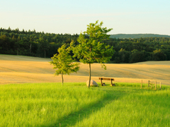 Killikus&reg; Fotographie