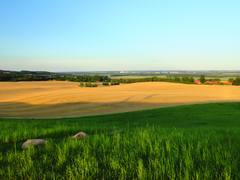 Killikus&reg; Fotographie