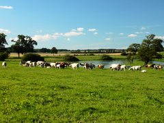 Killikus&reg; Fotographie