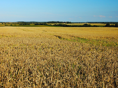 Killikus&reg; Fotographie