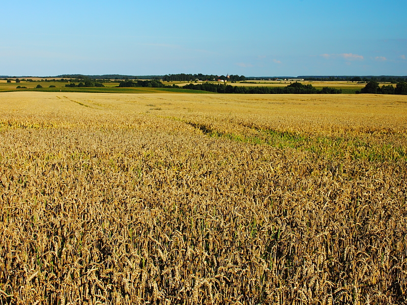 Killikus® Fotographie Killikus® Fotographie