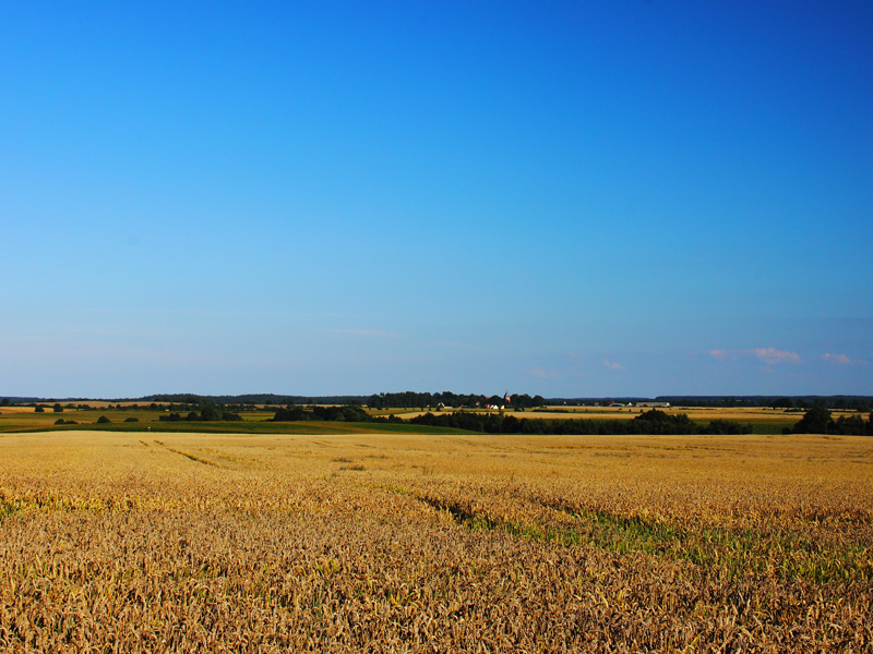 Killikus&reg; Fotographie