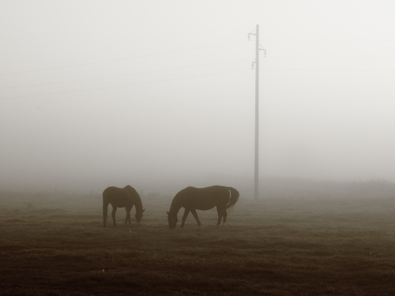 Killikus&reg; Fotographie