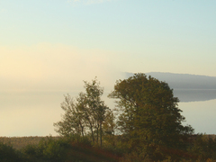 Killikus&reg; Fotographie