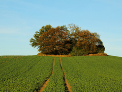 Killikus&reg; Fotographie