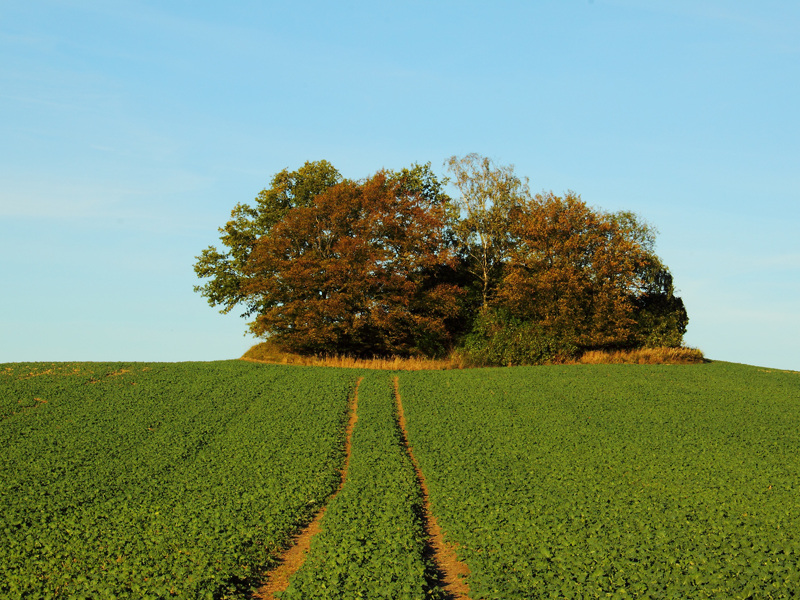 Killikus&reg; Fotographie