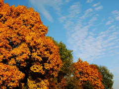 Killikus&reg; Fotographie