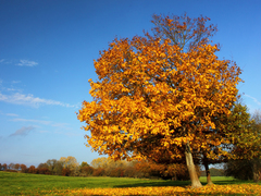 Killikus&reg; Fotographie