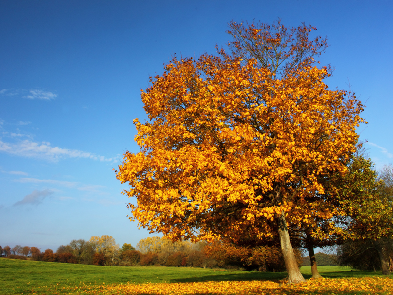 Killikus&reg; Fotographie