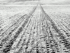 Killikus&reg; Fotographie