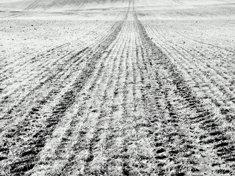 Killikus&reg; Fotographie