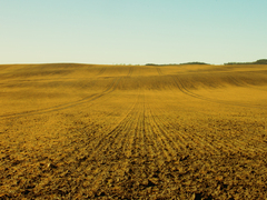 Killikus&reg; Fotographie