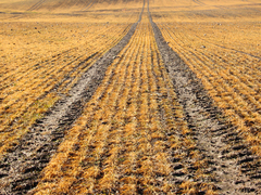 Killikus&reg; Fotographie