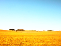 Killikus&reg; Fotographie