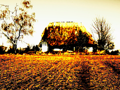 Killikus&reg; Fotographie