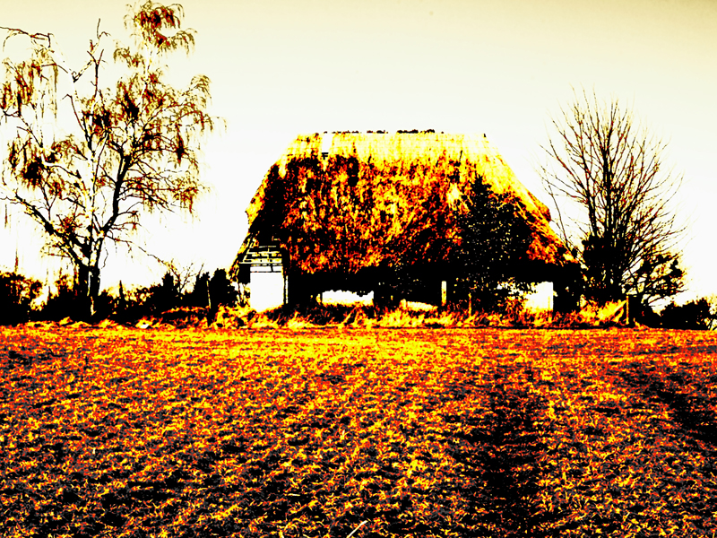 Killikus® Fotographie Killikus® Fotographie