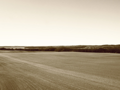 Killikus&reg; Fotographie