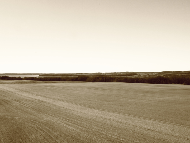 Killikus&reg; Fotographie